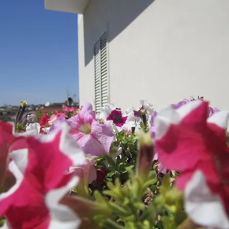 Casafalena Holiday home